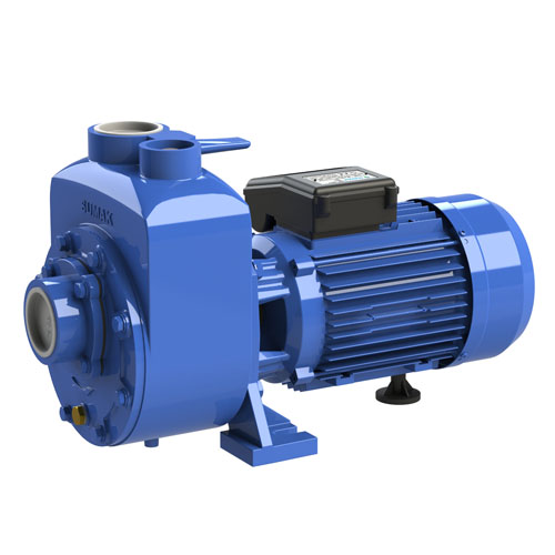 Sumak DSMT300/2 (3HP) Kendinden Klapeli Pompa